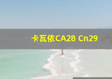 卡瓦依CA28 Cn29